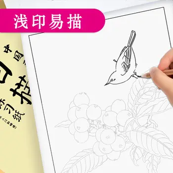 Художествени скица началното училище, шаблон за копиране, китайска живопис, линеен фигура, албум за рисуване, начинаещи с нулево базово ниво за начинаещи